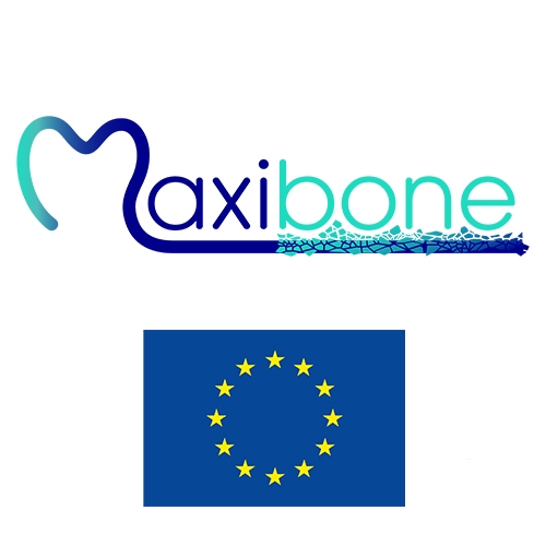 2018: A new Maxibone EU project Kick-off meeting at Nantes, France