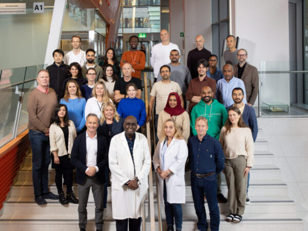 The Tissue Engineering research group and the team behind the SFI application. Kamal Mustafa and Cecilie Gjerde in the front. Photo: Eivind Senneset